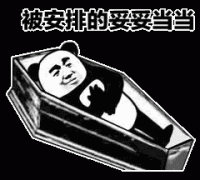 职校生说|父母安排的路，你走吗？