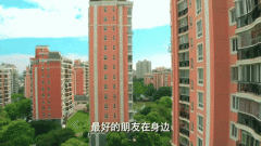 爱情公寓5，我赌演员必糊