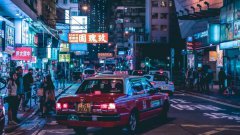 舔狗都市恋情观察笔记