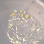 我谈了一场很隆重的恋爱